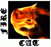 Fire Cat 20.gif